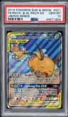 Raichu & Alolan Raichu Gx
