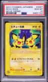Pichu Bros