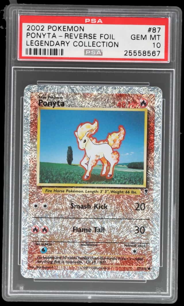 Ponyta