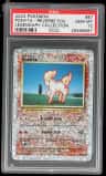Ponyta