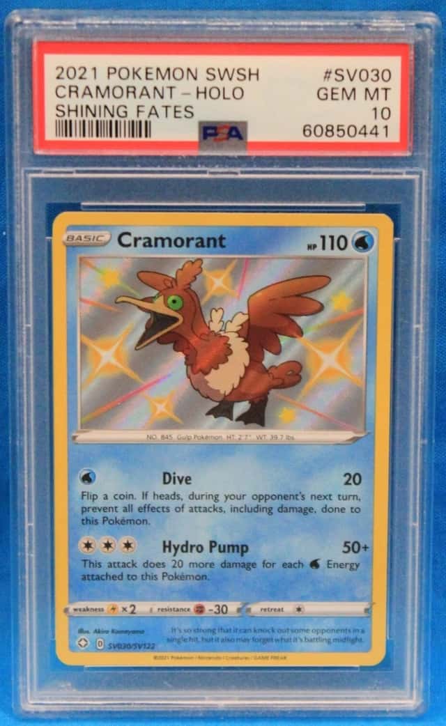 Cramorant
