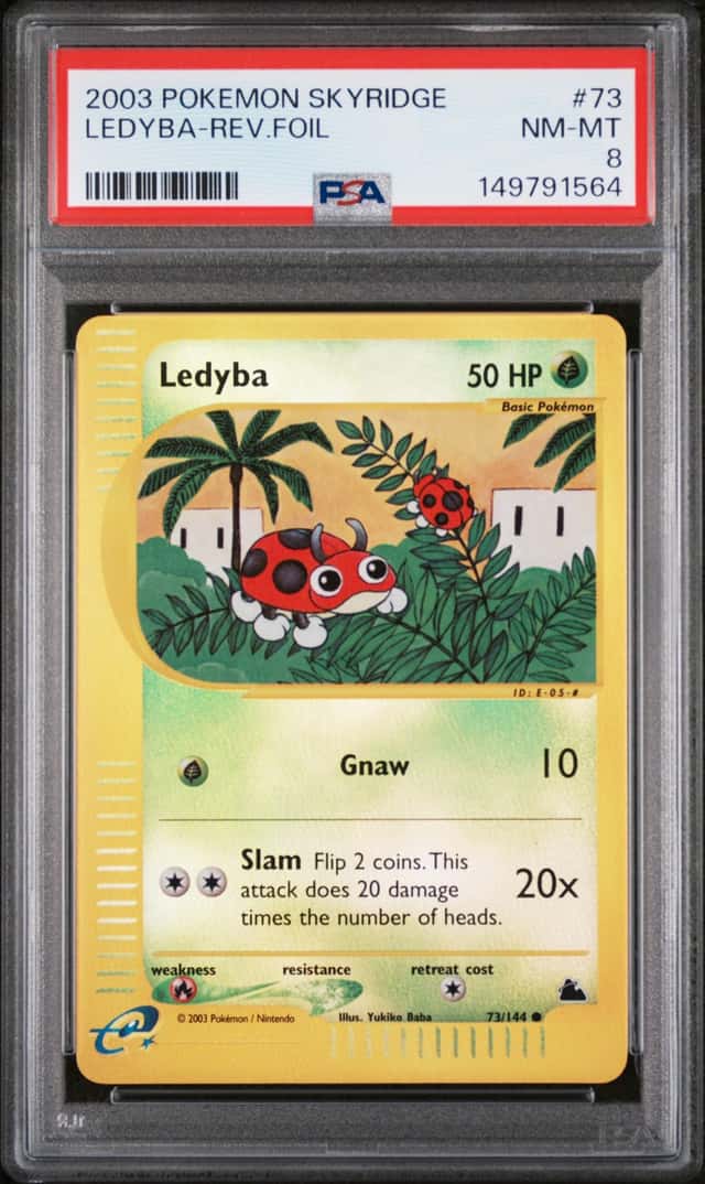 Ledyba