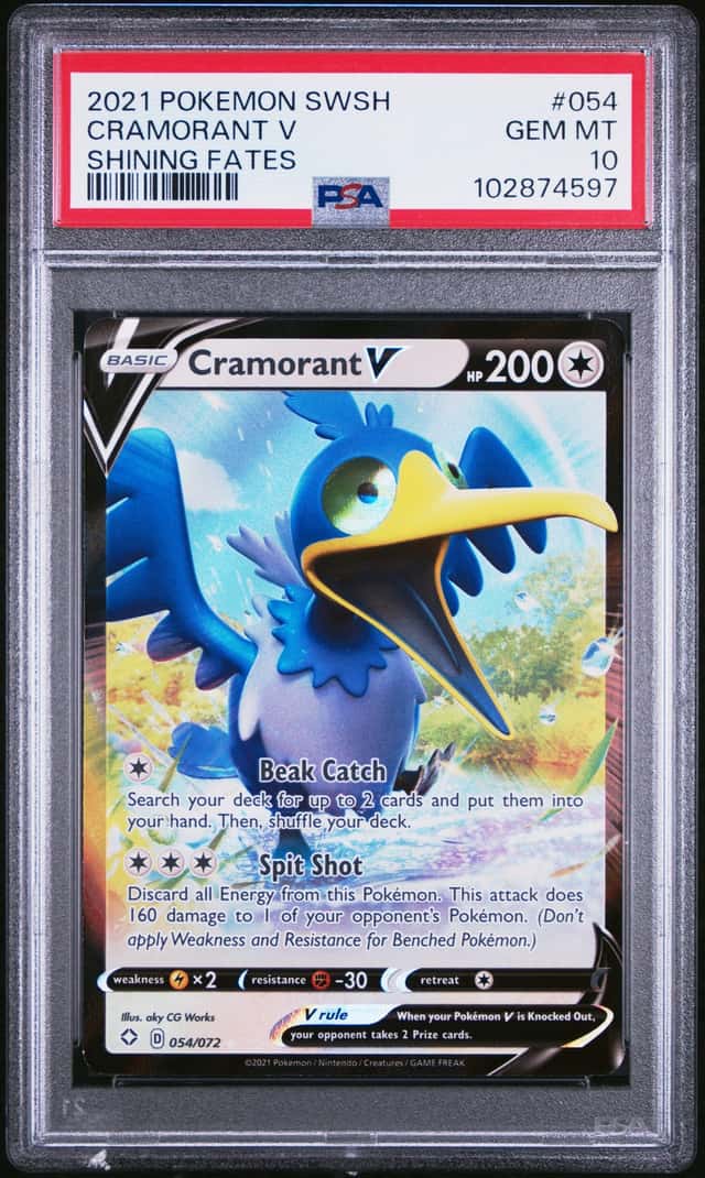 Cramorant V