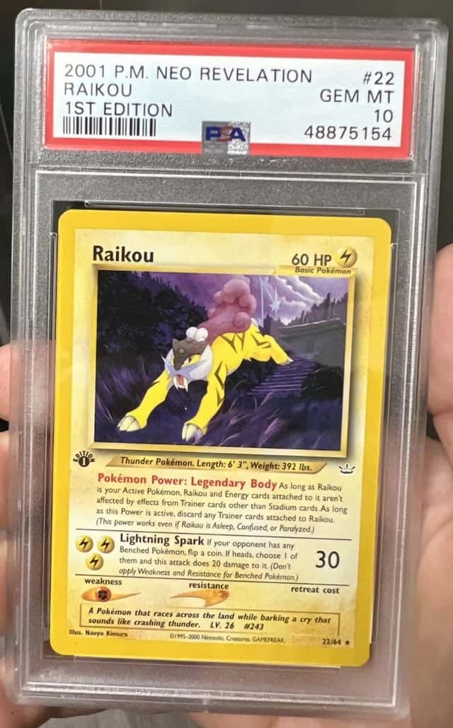 Raikou