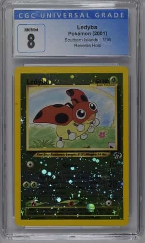 Ledyba