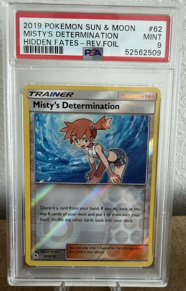 Misty's Determination