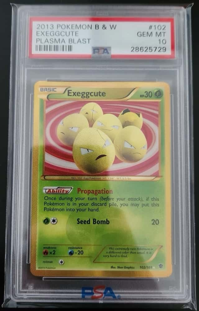 Exeggcute