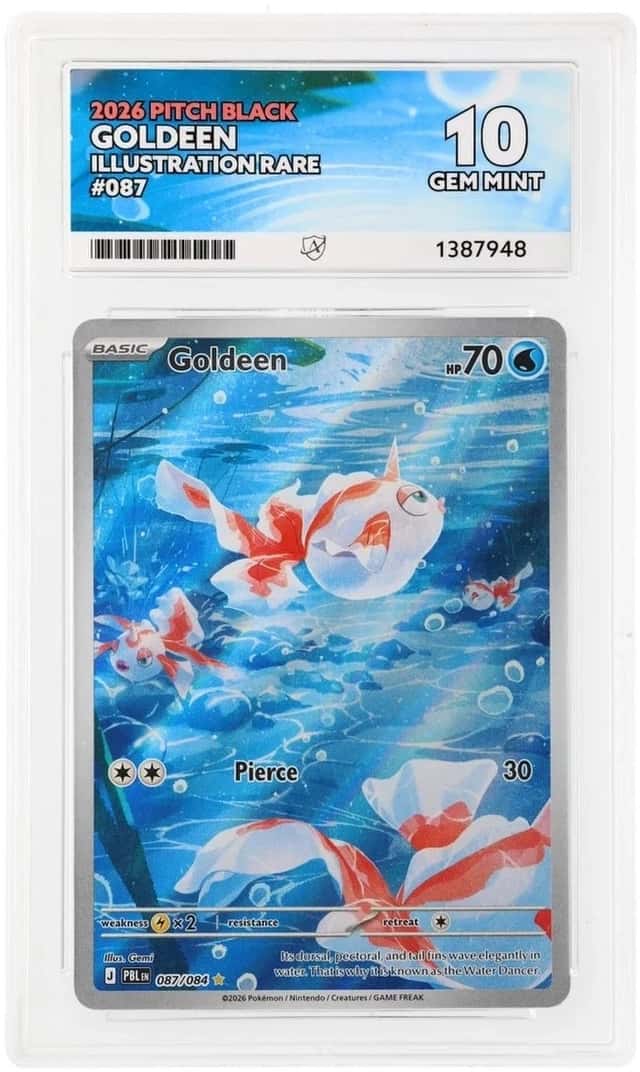 Goldeen