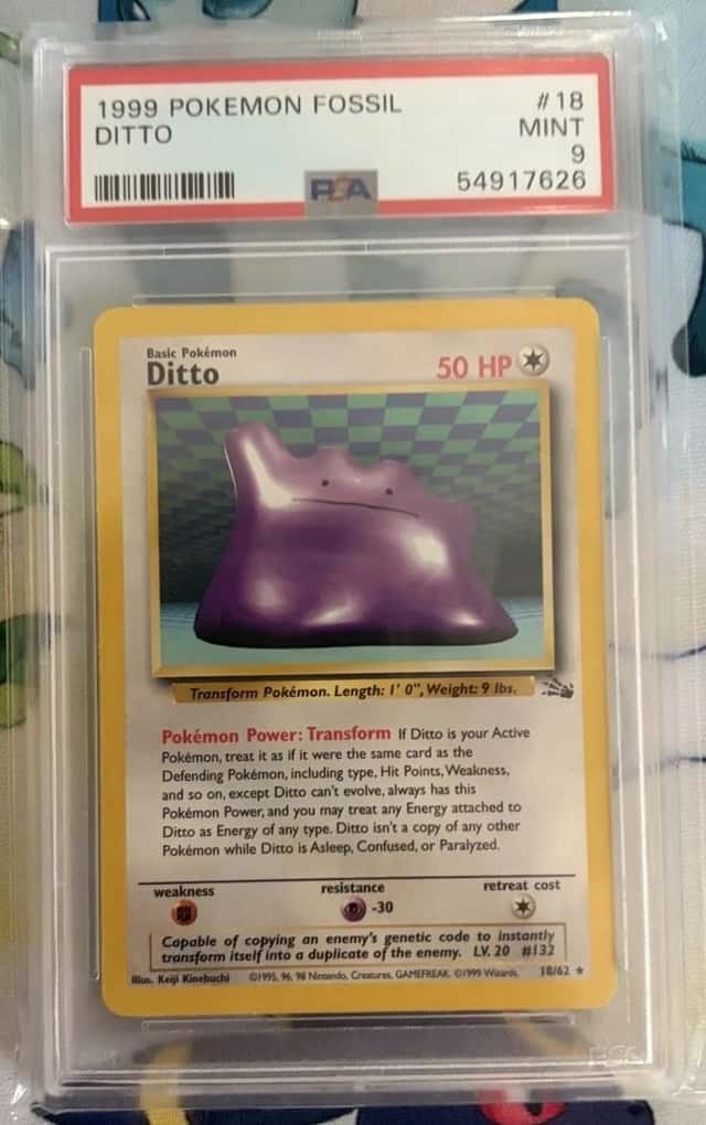 Ditto
