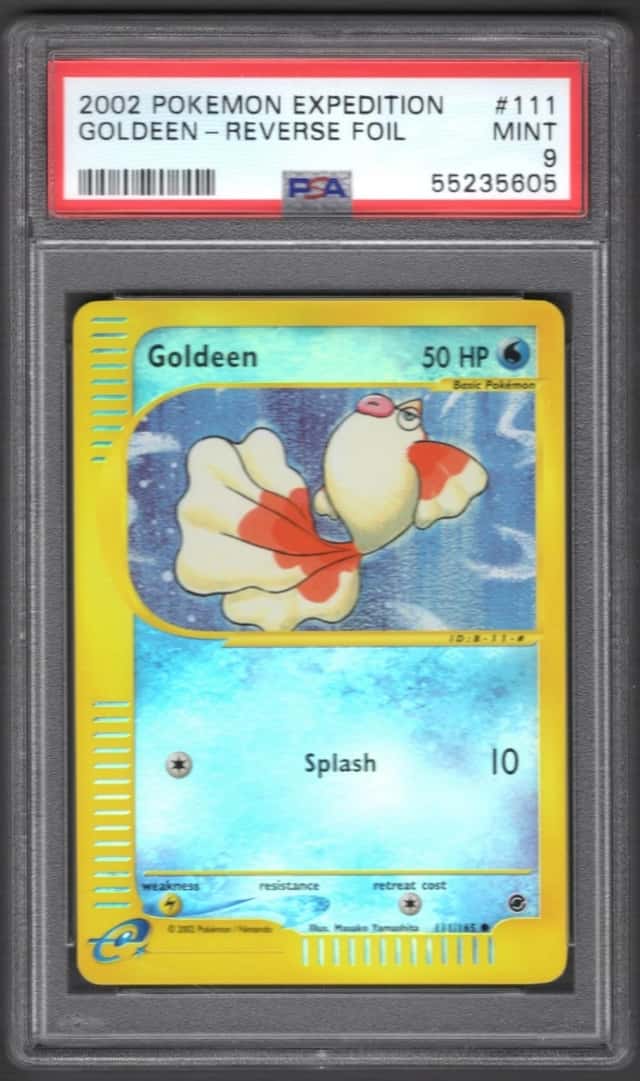 Goldeen