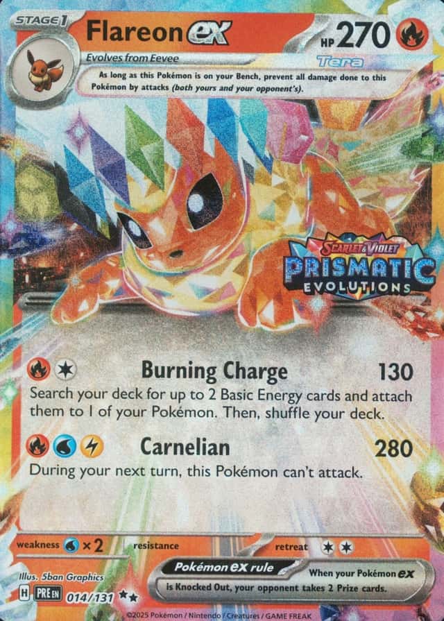 Holo · Box Exclusive Surprise