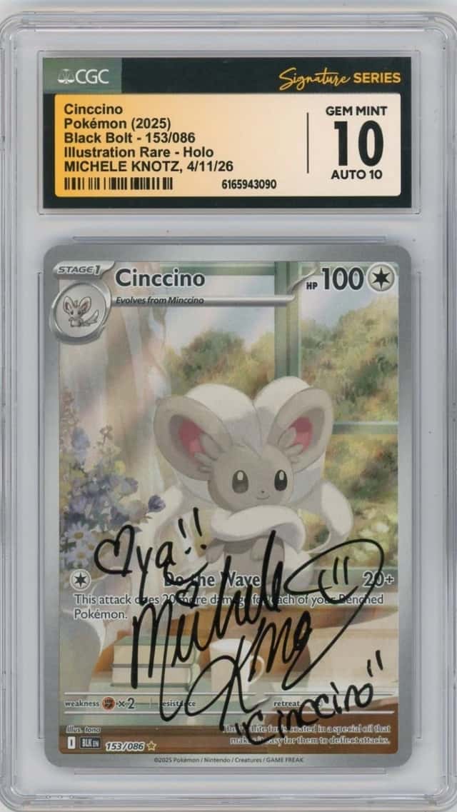Cinccino