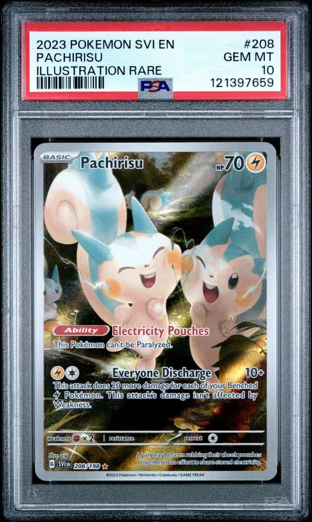 Pachirisu