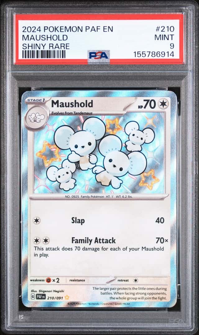 Maushold