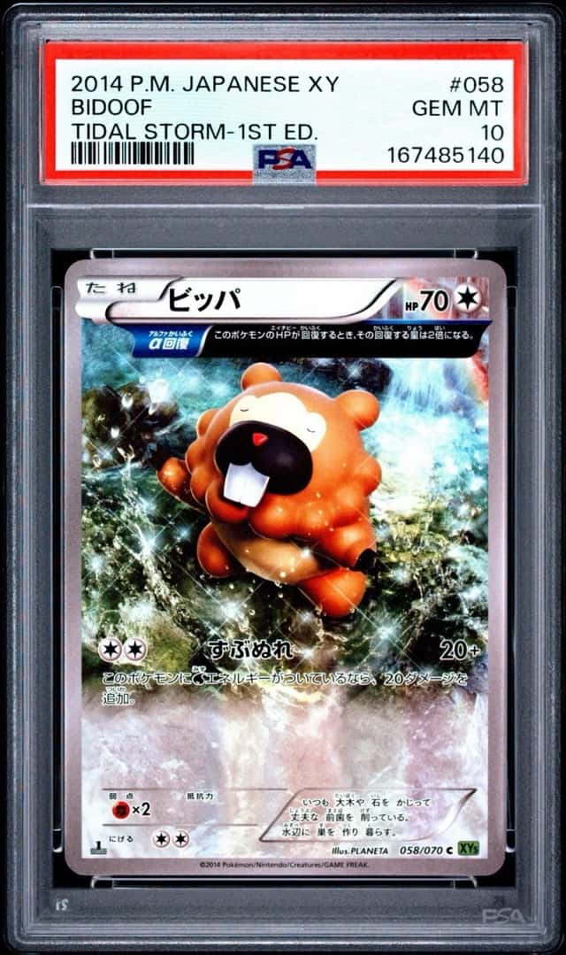 Bidoof