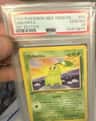 Chikorita