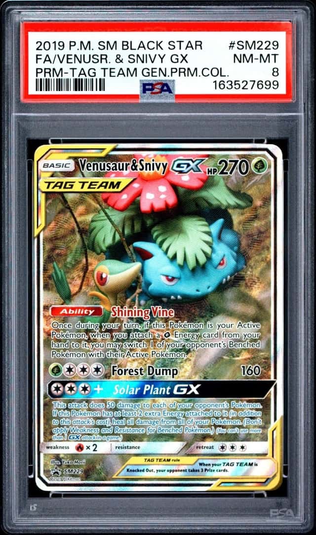 Venusaur & Snivy GX