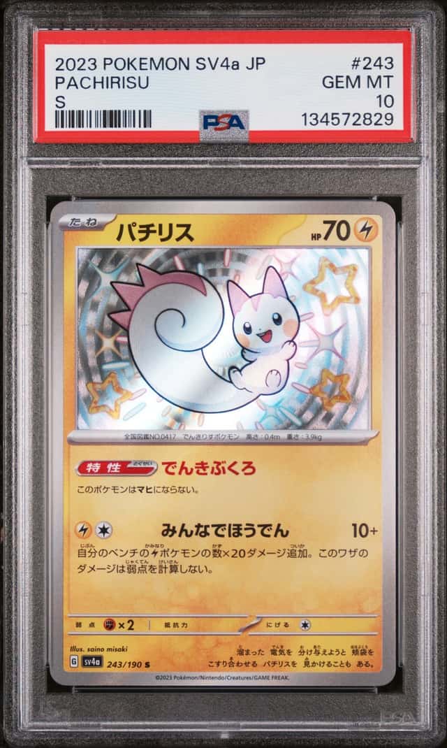 Pachirisu