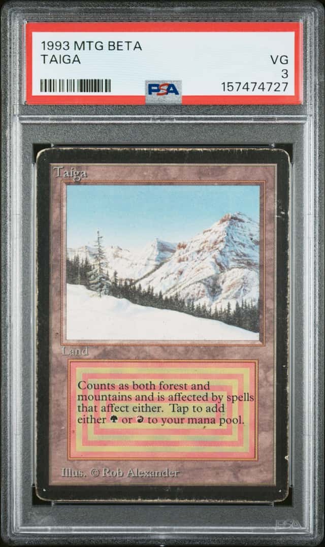 Taiga