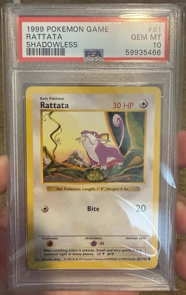 Rattata