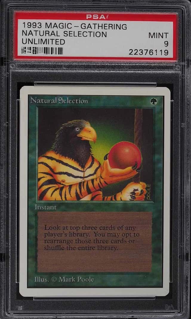 Natural Selection