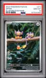 Aipom
