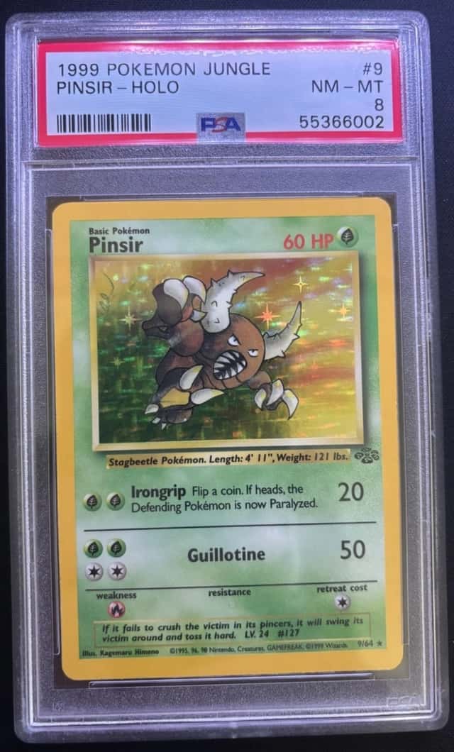 Pinsir