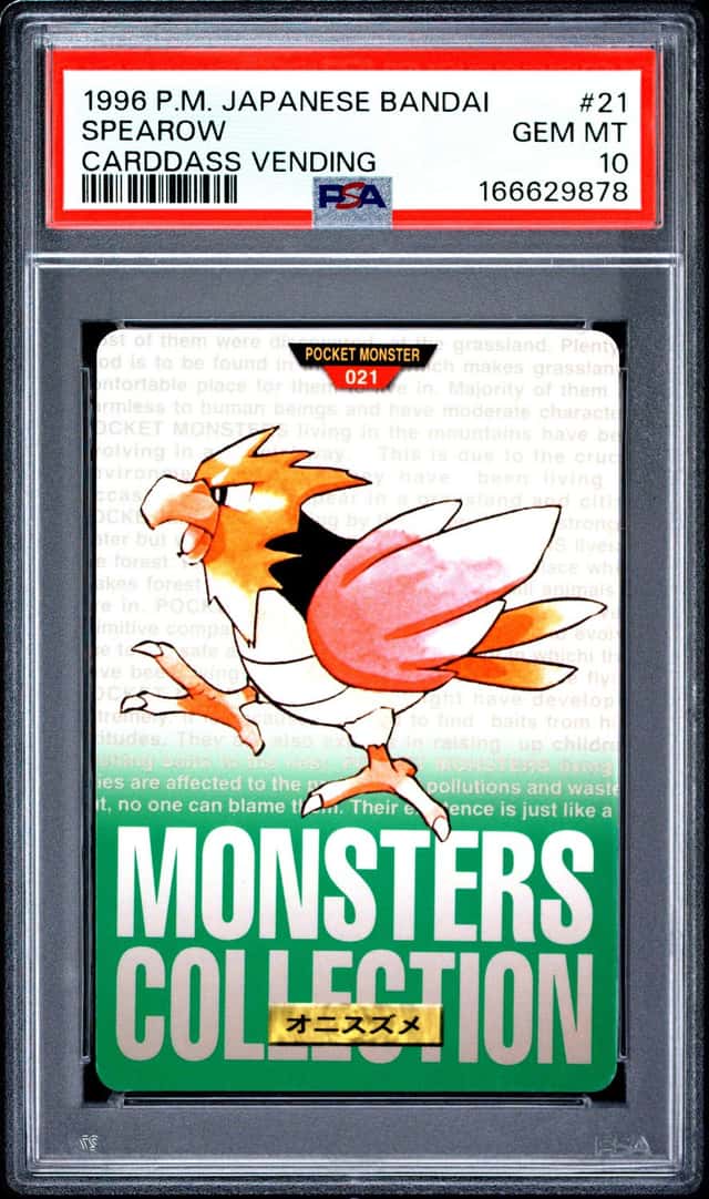 Spearow