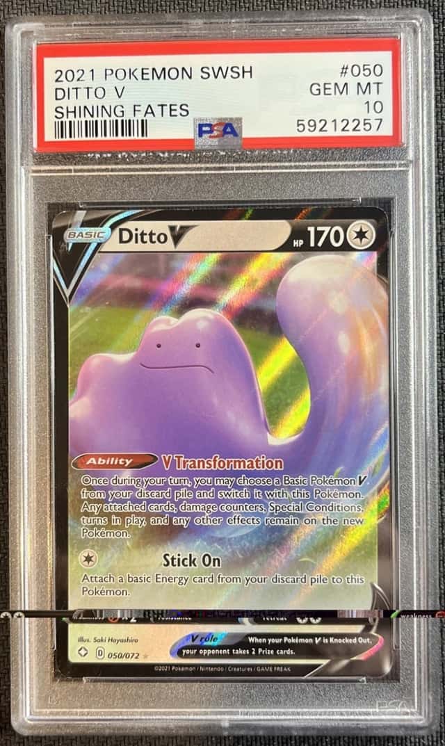 Ditto V
