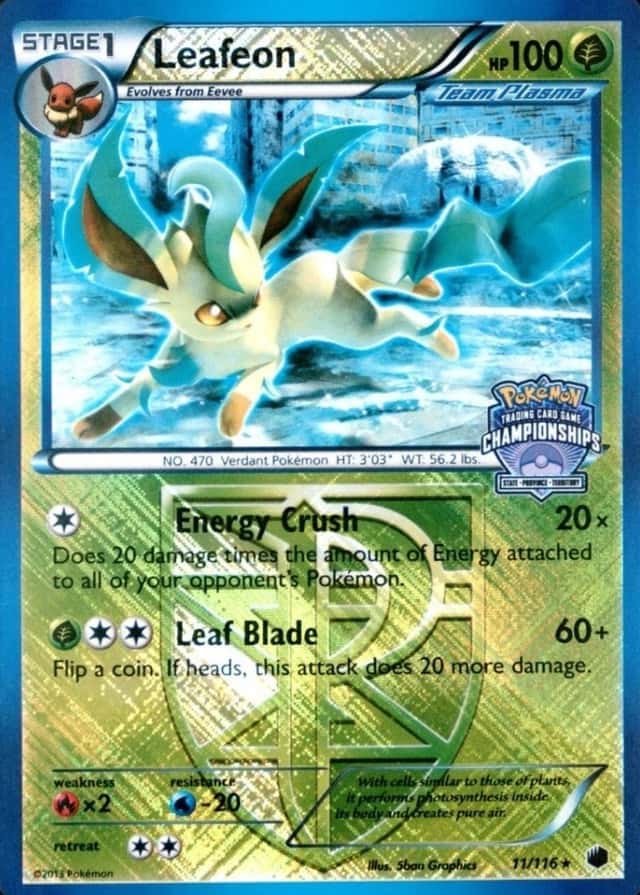 Holo · American Championships Crosshatch North Province State Territory