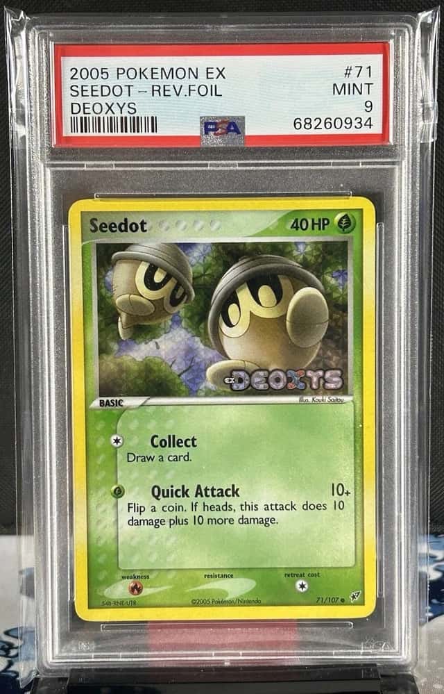 Seedot