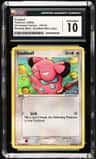 Snubbull