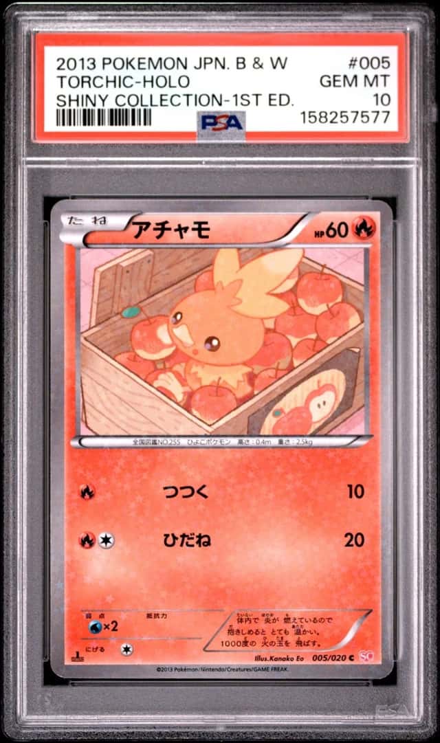 Torchic