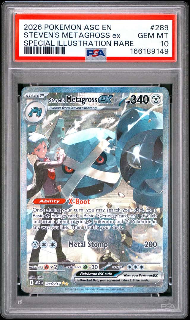 STEVEN'S METAGROSS ex
