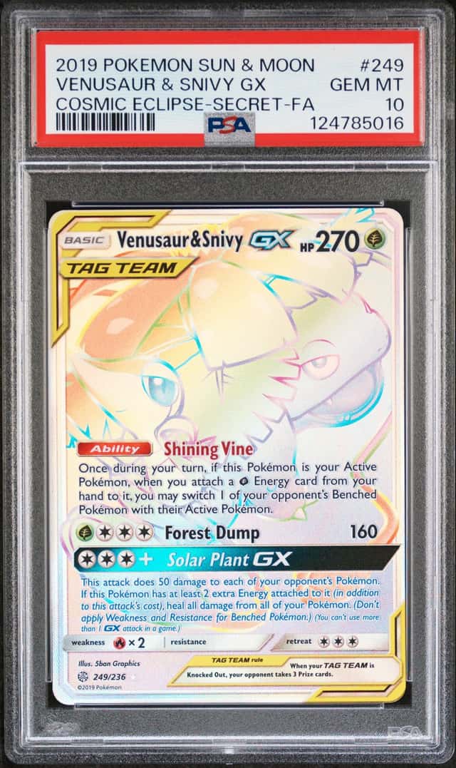 Venusaur & Snivy GX