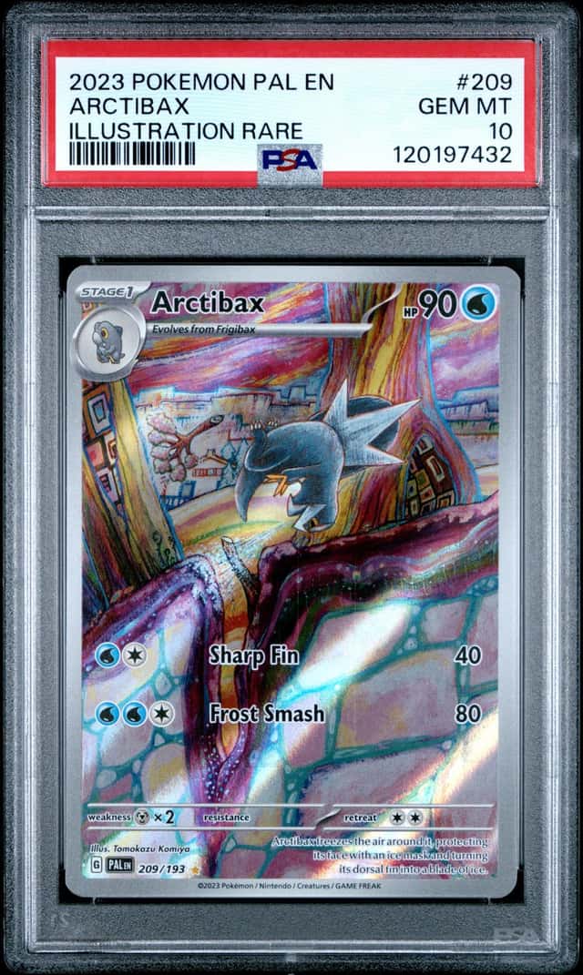 Arctibax