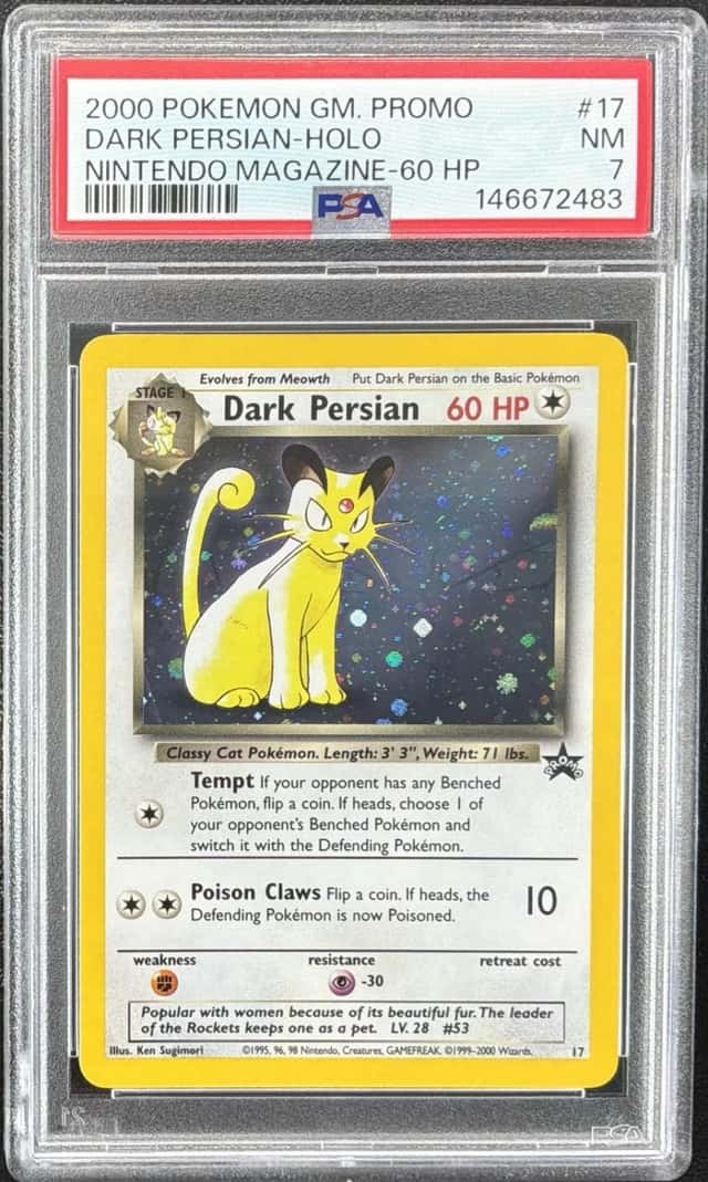 Dark Persian