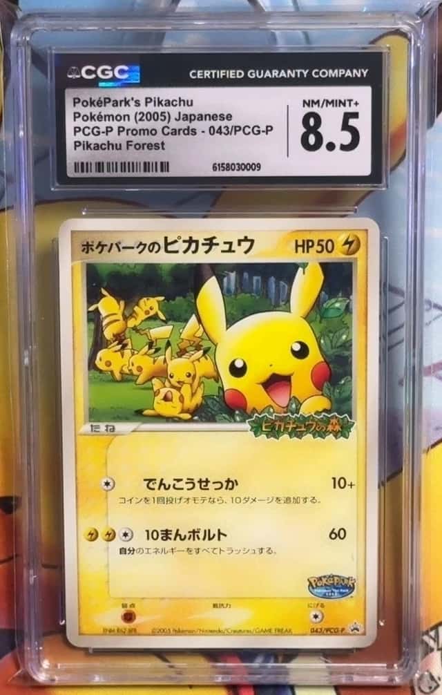 PokePark's Pikachu