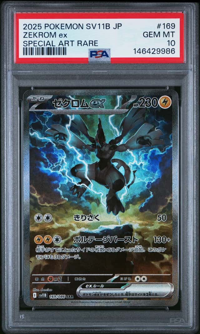 ZEKROM ex
