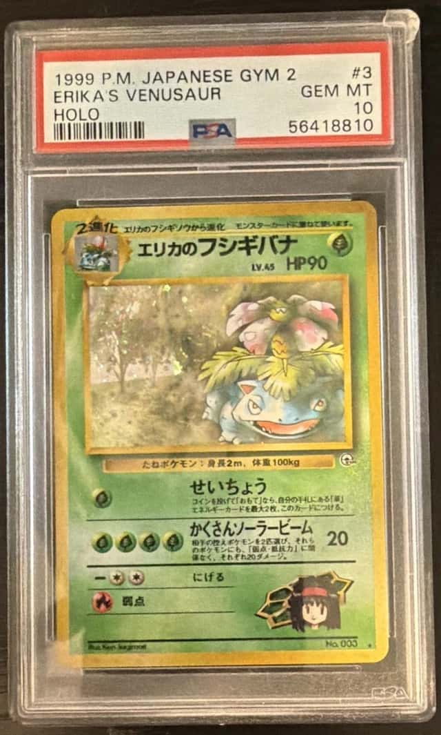 Erika's Venusaur