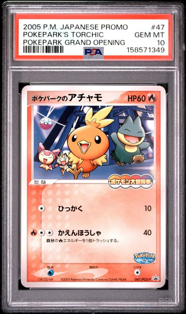 Pokepark's Torchic