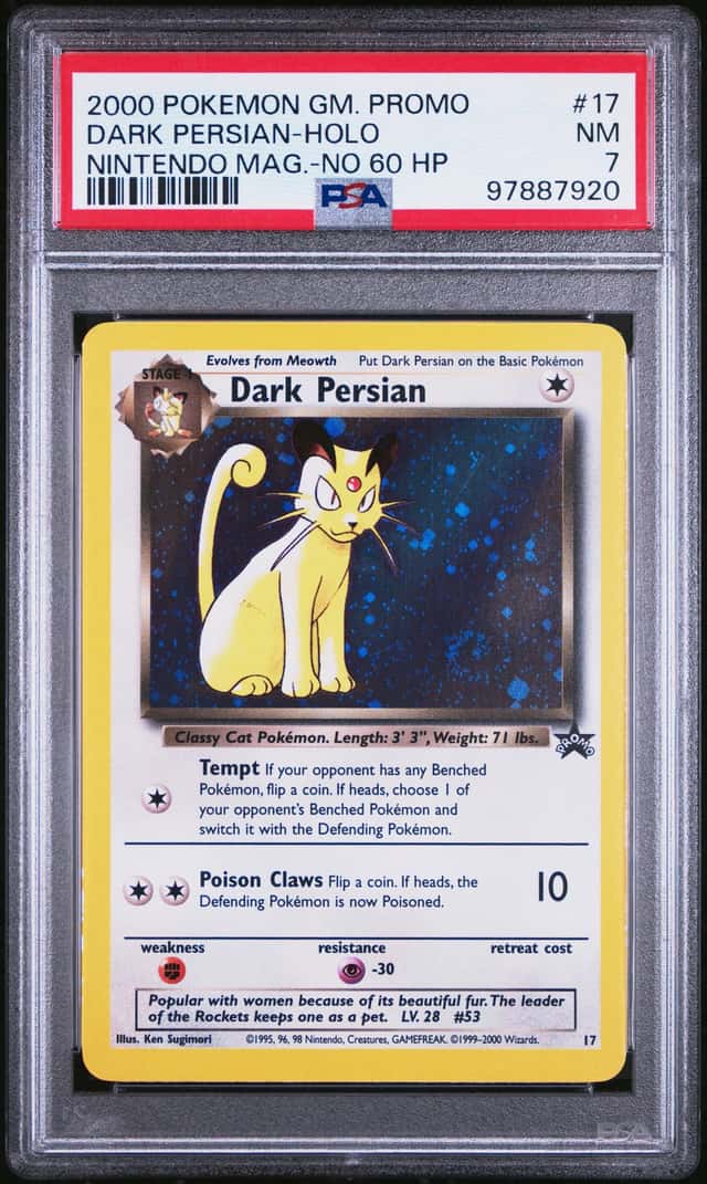 Dark Persian