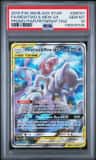 Mewtwo & Mew Gx
