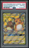 Raichu & Alolan Raichu Gx
