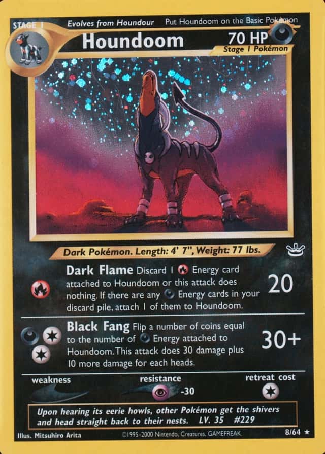Holo