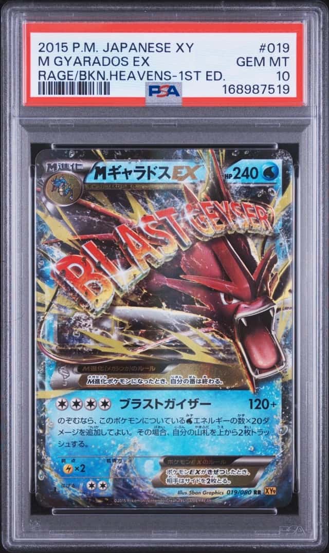M Gyarados EX
