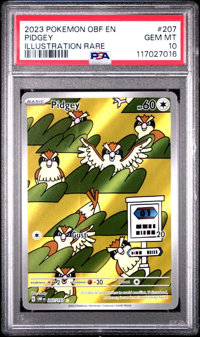 Pidgey