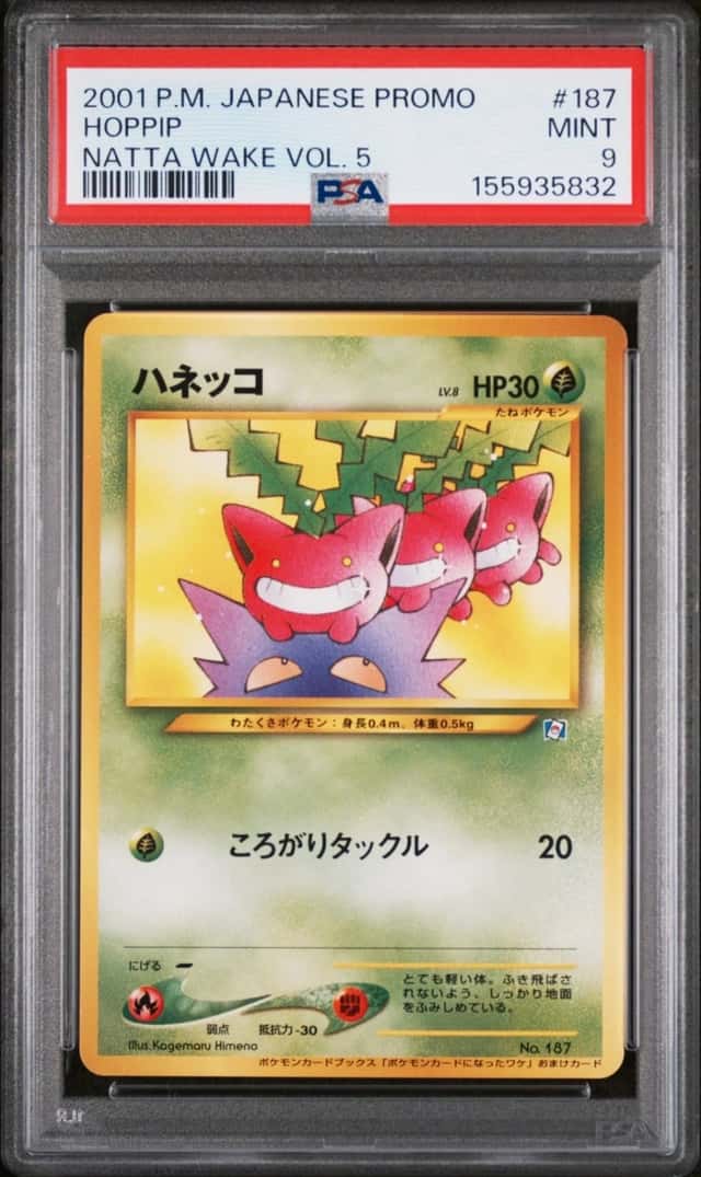 Hoppip