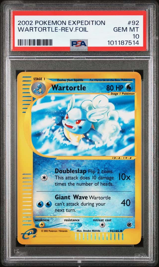Wartortle