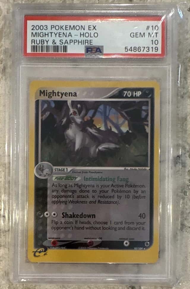 Mightyena